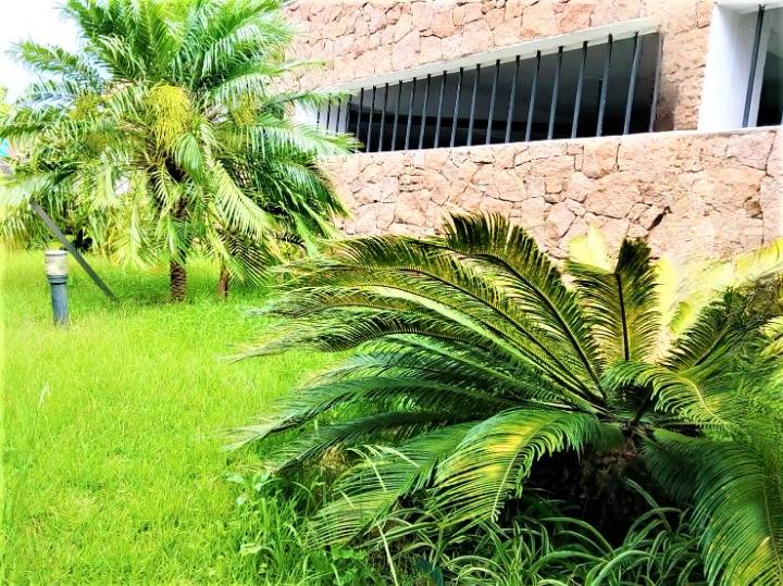 #AR3911 - Apartamento para Venda em São Caetano do Sul - SP