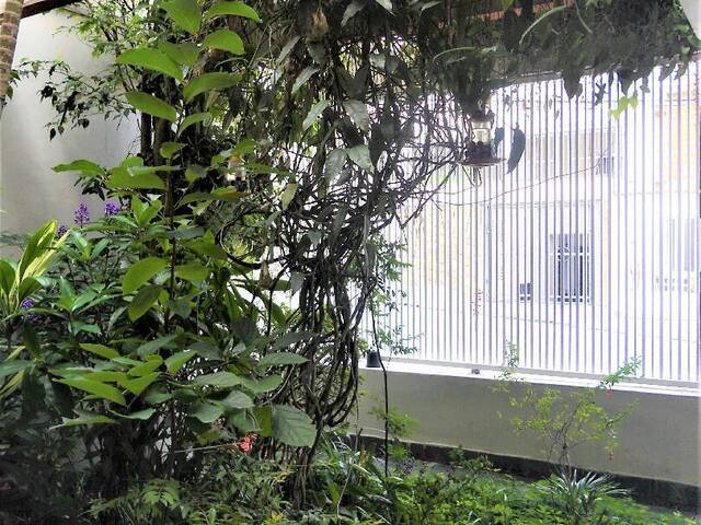 #SO3339-A - Casa para Venda em São Caetano do Sul - SP - 1