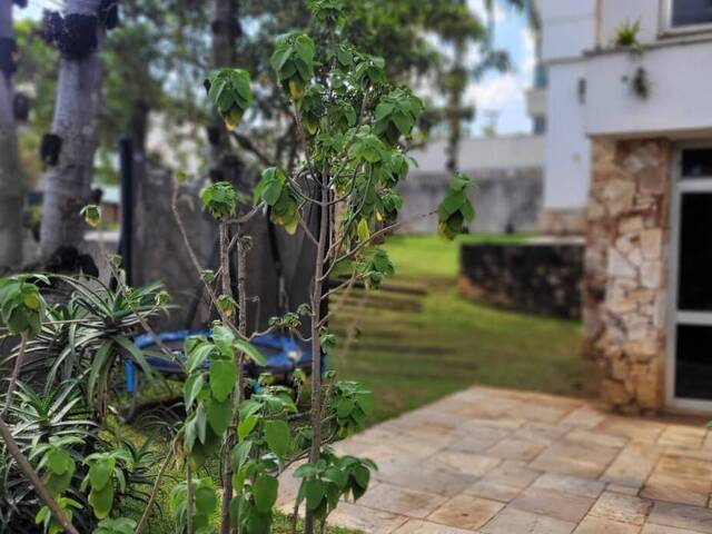 #SO3417-CO - Casa para Venda em São Caetano do Sul - SP - 3