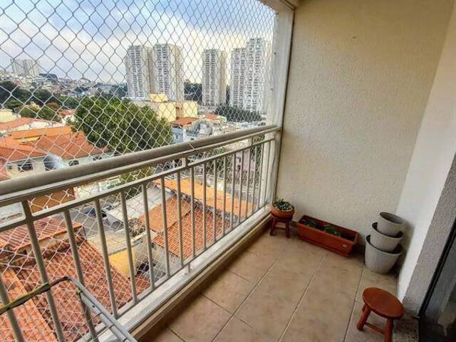 #AP3729-R - Apartamento para Venda em São Caetano do Sul - SP - 1