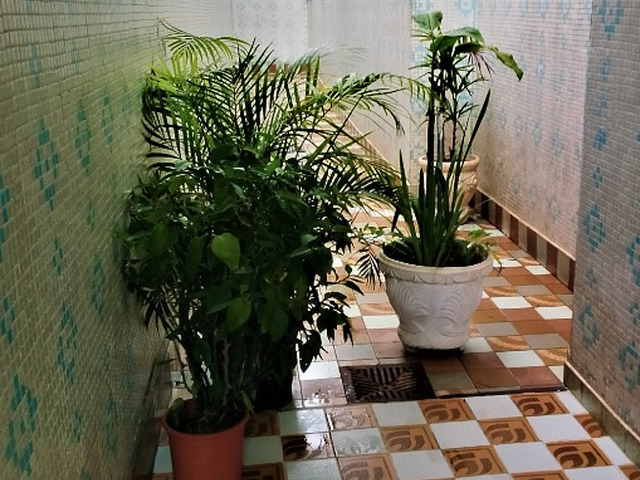 Apartamento para Venda em São Caetano do Sul - 4